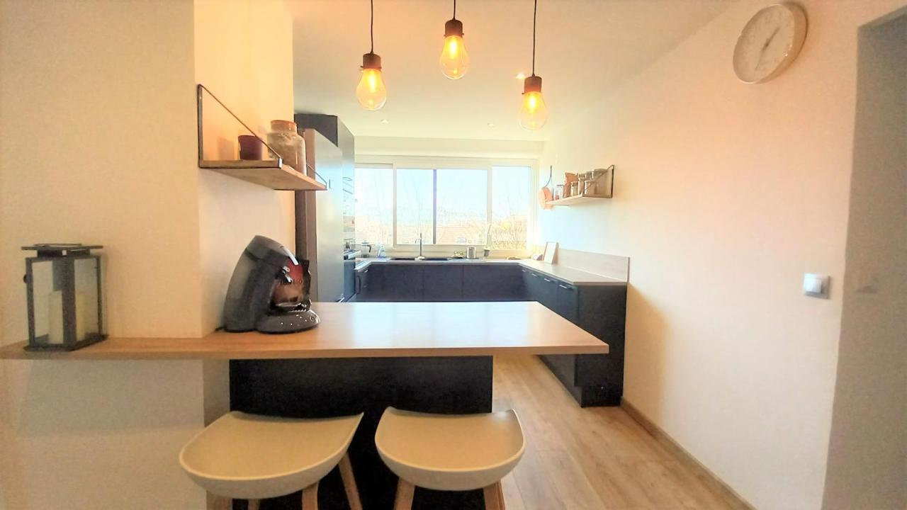 Magnifique Cocon - Metro A Republique - 2 Belles Chambres Avec Dressings - Wifi Gratuit - Netflix - Au Calme Absolu - Lumineux - Jardin Arbore Partage Dans La Residence Villeurbanne Dış mekan fotoğraf